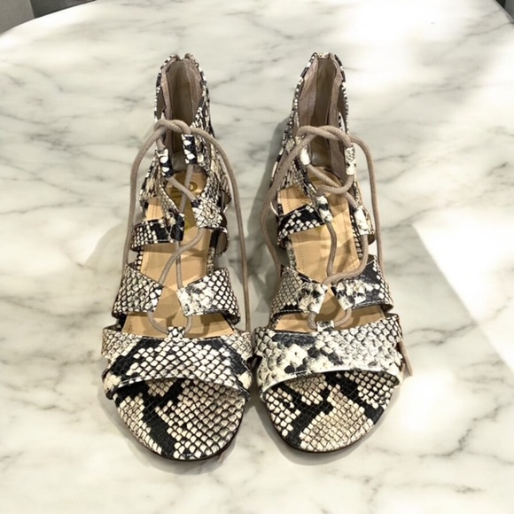 EUC Circus Sam Edelman Snakeskin Lace up Gladiator Sandals Size US 7 1/2 - Picture 1 of 6